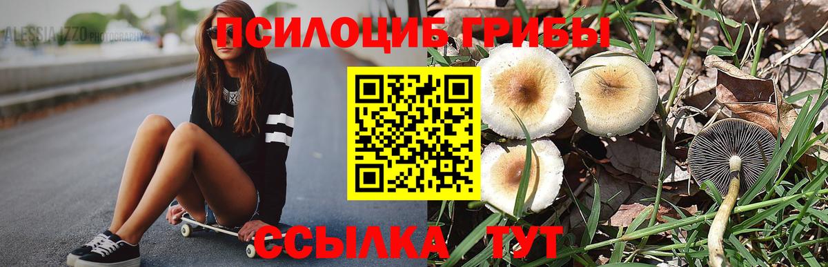 Конаково  Псилоцибиновые грибы GOLDEN TEACHER  Вход с VPN  Псилоцибиновые грибы Psilocybine cubensis 